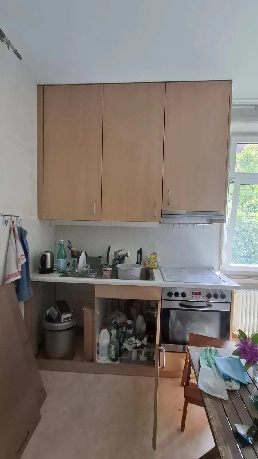 Küche vor der Umzugsreinigung